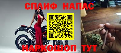 спиды Коммунар