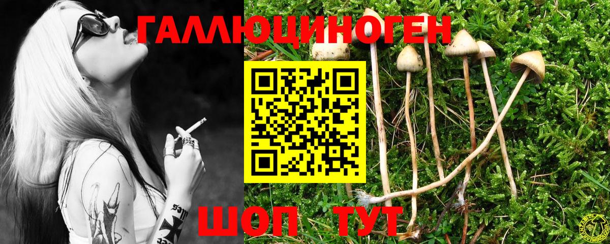 Псилоцибиновые грибы MAGIC MUSHROOMS  закладка  Канаш  Вход с VPN 